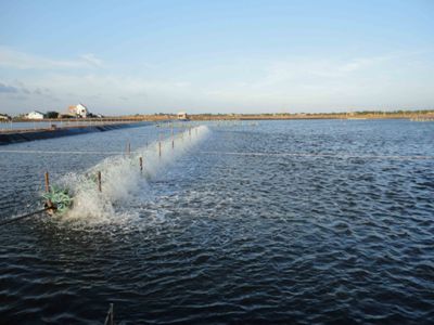 Ảnh minh họa. Nguồn: Internet