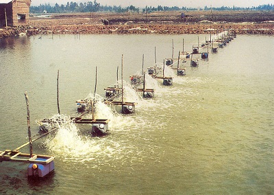 Quạt nước ao tôm