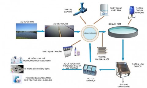 RAS trong nuôi tôm