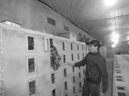 Nhiều hộ khá giả nhờ nuôi rắn thương phẩm trong nhà