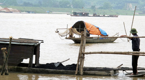 Nhiều người dân xã Đồng Việt cắm cọc ngăn sông Thương để nuôi hến.