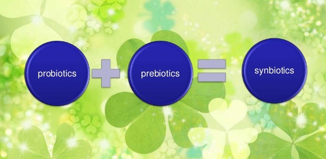 Vai trò của Probiotic, Prebiotic và Synbiotic trong nuôi trồng thủy sản