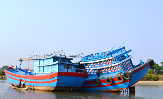 tàu câu mực