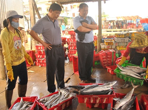 Thương lái Trung Quốc gom hàng thủy sản