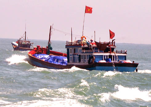 Tàu đánh bắt cá ngừ đại dương bằng đèn cao áp của ngư dân Hoài Nhơn neo đậu san sát tại bến Tam Quan Bắc