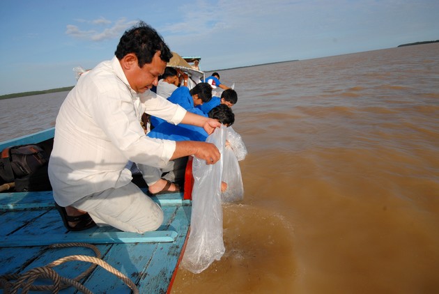 Ảnh: Anh Tống Minh Chánh thực hiện thả cá tra bần về sông ở tỉnh Sóc Trăng.