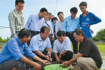 tham quan,  mô hình, cá bổi