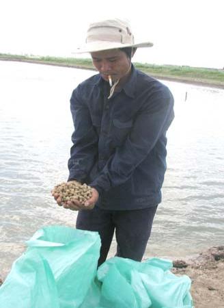 Thức ăn cho cá tra