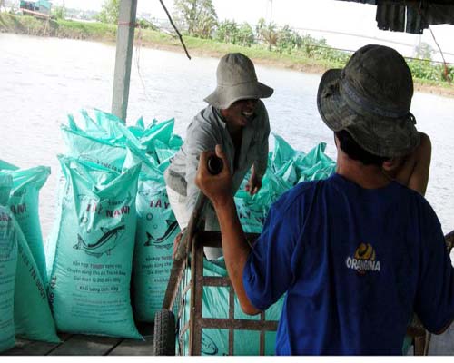 Sản xuất thức ăn thủy sản