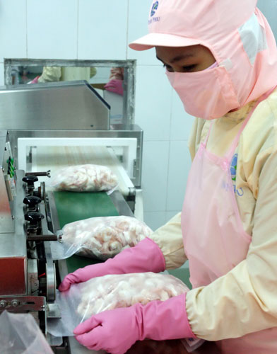 tôm xuất khẩu