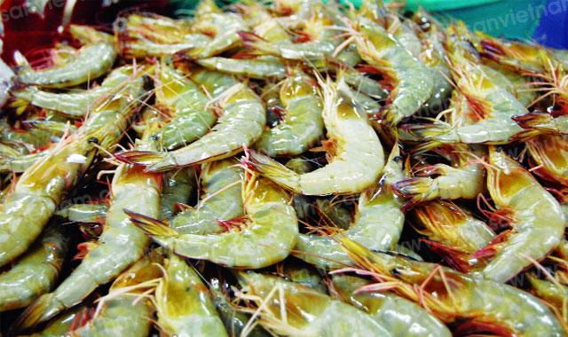 Năm 2012, sản lượng tôm thu hoạch của nhiều nước không đạt mục tiêu