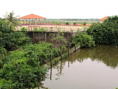 Trang trại cá sấu Cty Quốc Việt liền kề với ao vườn của người dân.