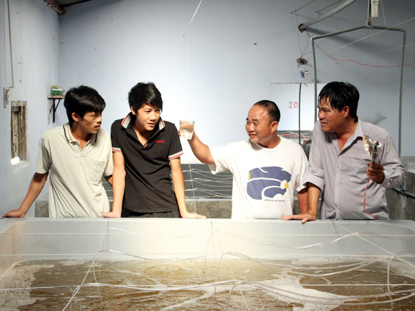 Cơ sở sản xuất giống, tôm thẻ chân trắng