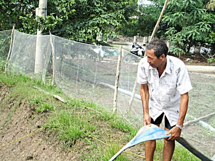 Trần Thành Hên, treo đầm tôm