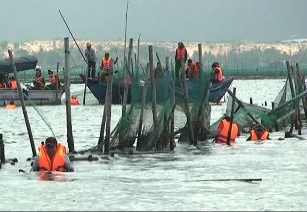 Lực lượng chức năng cưỡng chế các hộ lấn chiếm trái phép trên đầm Thị Nại