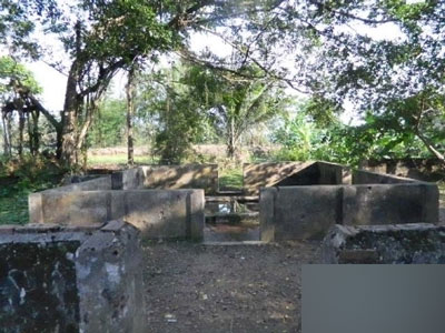 Đôi giếng tiên.