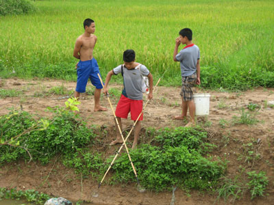 chích điện bắt cá