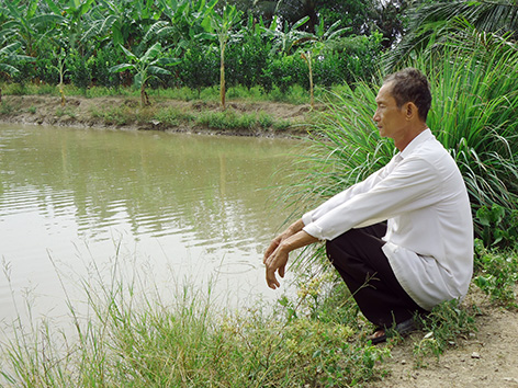 ao cá rô đầu vuông