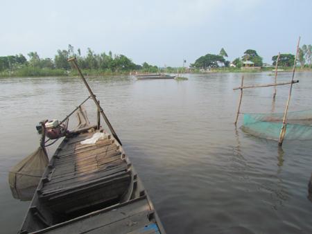 Những giàn đáy vắng chủ (ảnh chụp trên sông Phú Hội, An Phú, An Giang)