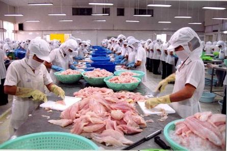 Chế biến thủy sản