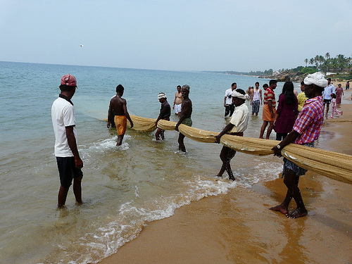 Người dân Kerala Ấn Độ kéo lưới (Ảnh: http://www.flickr.com)