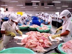 Top các doanh nghiệp xuất khẩu tôm, cá tra lớn nhất quý 1/2012