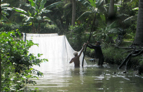 Anh Đực “rắn” biết làm ăn