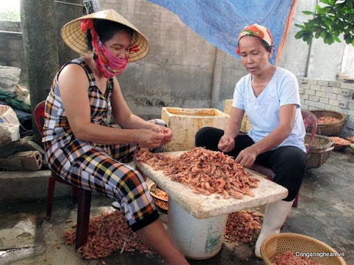 Tôm nõn Cửa Lò (Ảnh: congannghean.vn)