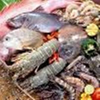 an toan thuc pham thuy san