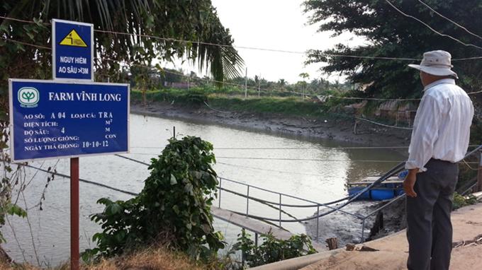 ao cá của công ty CP