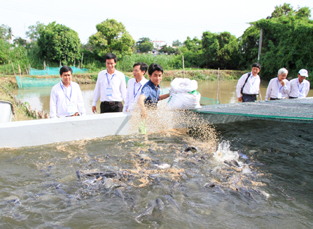 ao ca tra trinh dien