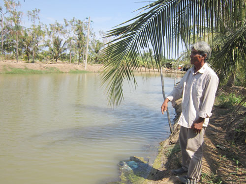 ao cá, dự án ngọt hóa