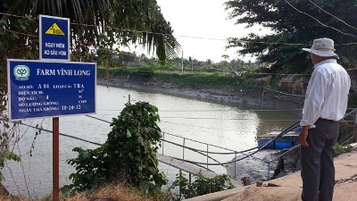 Bảng hiệu ao nuôi cá của Công ty CP tại cồn Đồng Phú