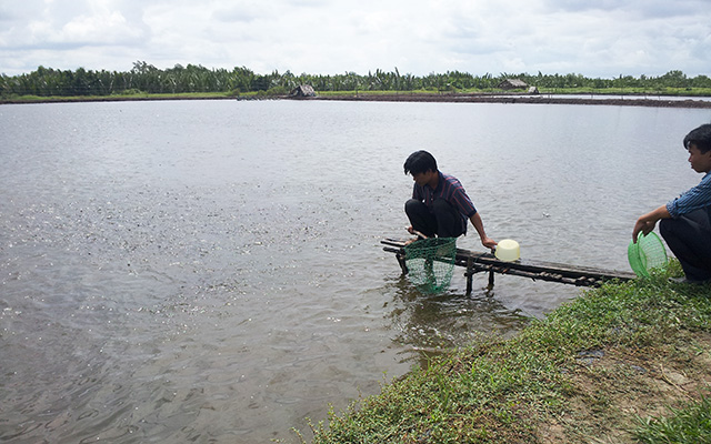 nuôi cá tra tiền giang