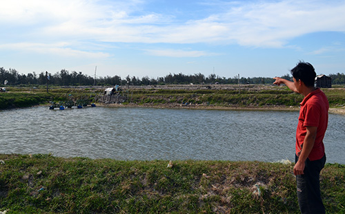 ao nuoi tom bo hoang