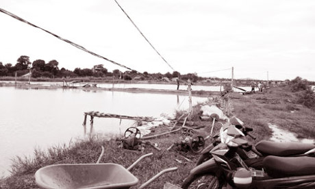 Vũng Tàu: Tìm giải pháp cung cấp nước mặn cho vùng nuôi tôm