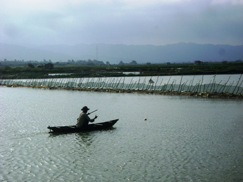 Ông Nguyễn Tấn Phát (xã Hòa Hiệp Nam, huyện Đông Hòa - Phú Yên) phải đánh bắt cá kiếm bữa ăn trên ao nuôi tôm bỏ hoang của mình