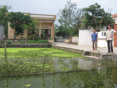 Nhiều hộ dân vẫn để ao “tù” nên ảnh hưởng rất lớn đến năng suất, chất lượng động vật thủy sản.