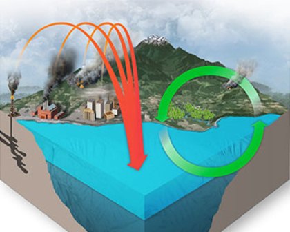 axit hóa đại dương