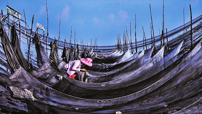 Đông Hải: Phấn đấu trở thành huyện trọng điểm về kinh tế biển