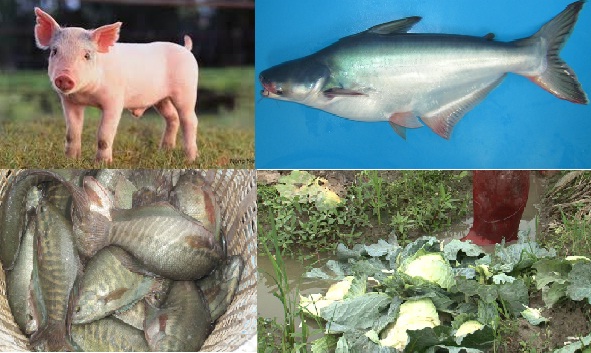 Bài học cho nông dân Việt