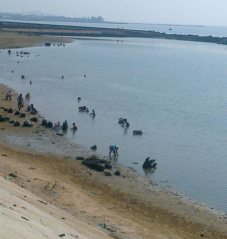 Bãi nghêu Bình Thuận