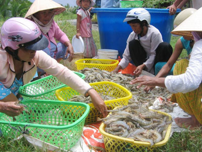 thu hoạc thủy sản