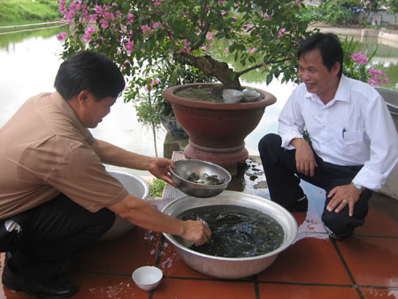 “Hoa tiêu” cá giống