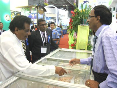 bán đấu giá cá tra