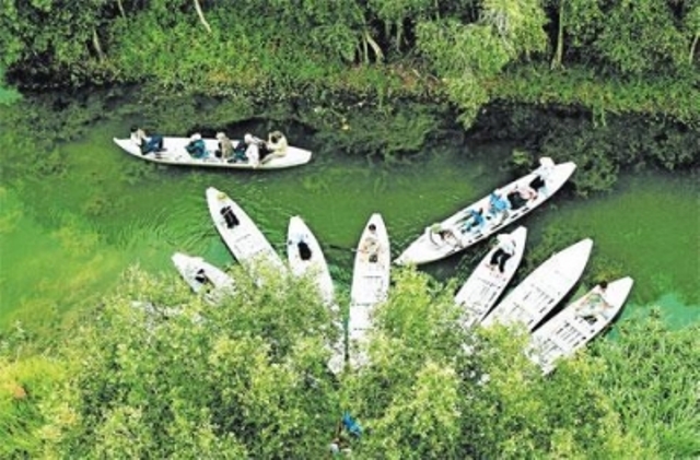 bảo hiểm nông nghiệp