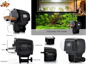 thiết bị bảo mẫu cho cá cảnh