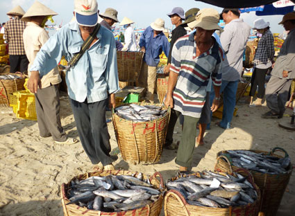 bảo quản hải sản trên tàu