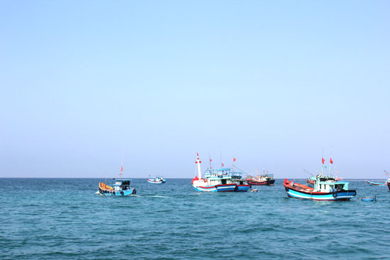 bảo vệ biển