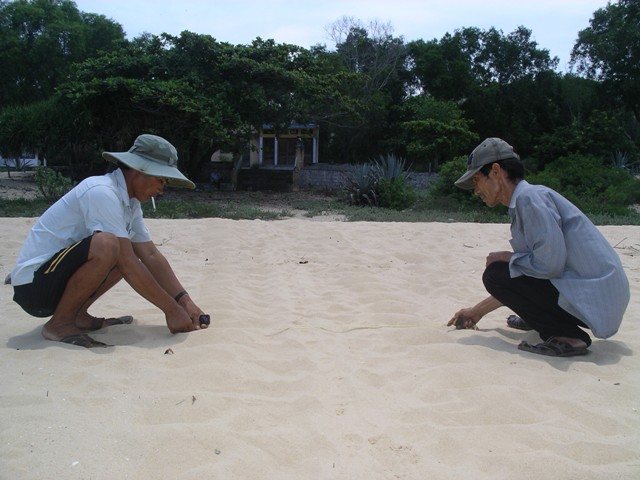 bảo vệ rùa biển